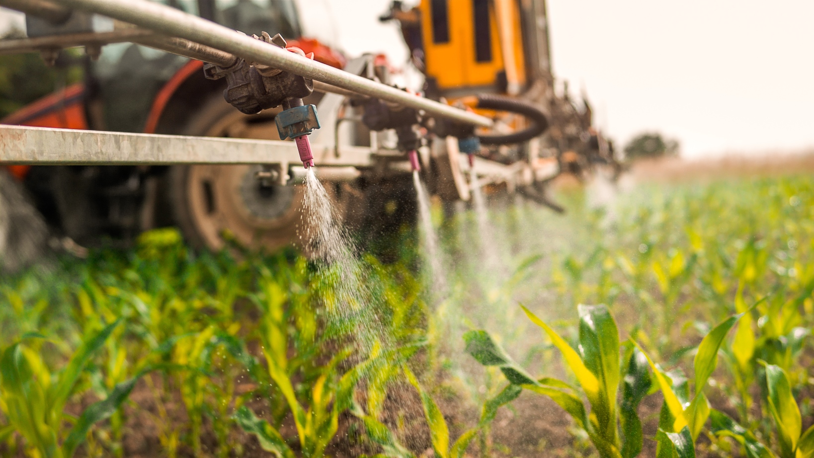 Pulvérisateur agricole pulvérisant des pesticides sur les cultures dans un champ.